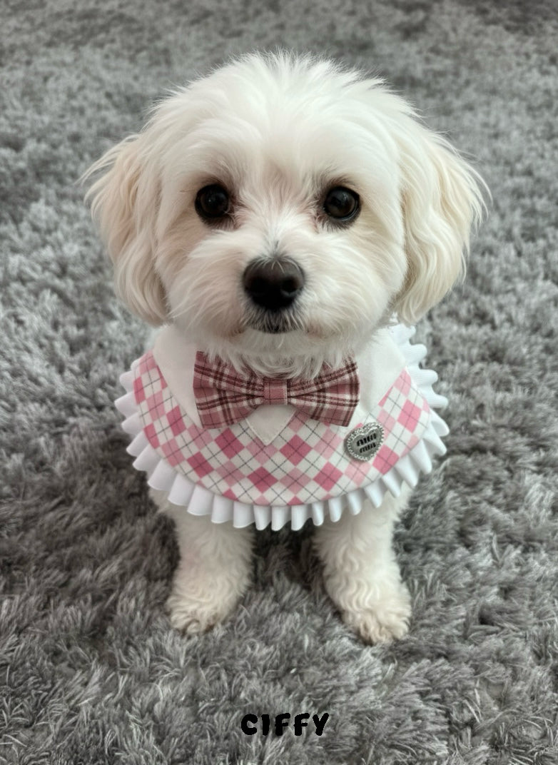 Pink Miumiu Bow Collar
